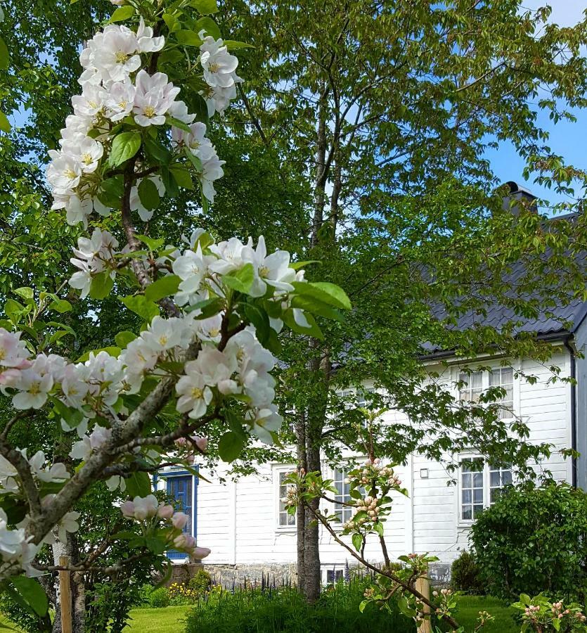 Appartement Kjorsvik Ovre à Tornes Extérieur photo